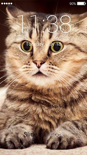Cat Password Lock Screen screenshot 3