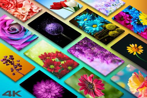 Flower Wallpapers in HD, 4K screenshot 1