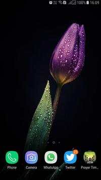 HD Tulip New Wallpaper screenshot 15