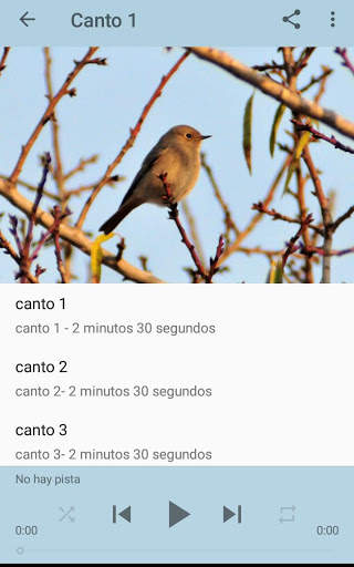 Nightingale Song screenshot 4
