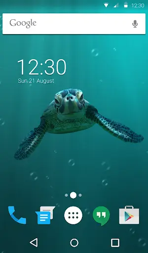 Cute Turtle Animated Keyboard + Live Wallpaper screenshot 6