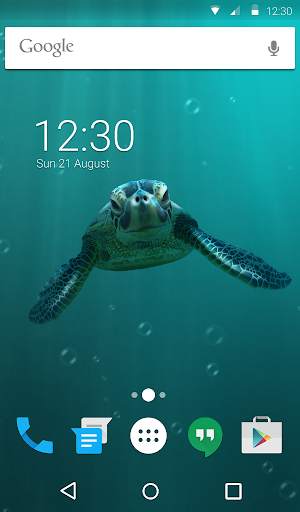 Cute Turtle Animated Keyboard + Live Wallpaper screenshot 6