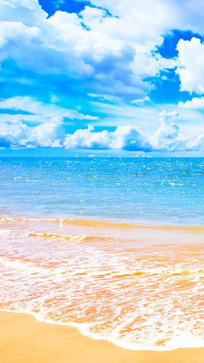Beach Video Live Wallpaper screenshot 5