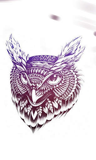 Funny Owl Wallpaper screenshot 1