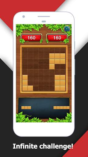 Wood Block Puzzle King screenshot 8