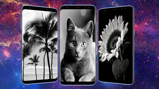Black and White Wallpaper HD screenshot 1