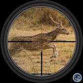 Sniper Deer Hunter 3D 1.0