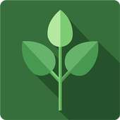 Simplisia Tanaman on 9Apps