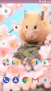 Hamster Life Wallpapers screenshot 5