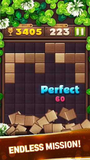 Wood Block Puzzle Game screenshot 4