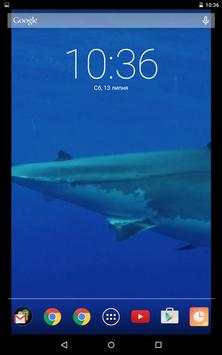 Dangerous Shark Video Live Wallpaper screenshot 3
