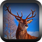 Safari Hunter Sniper icon
