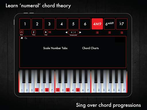 Scale Numbers Piano screenshot 5