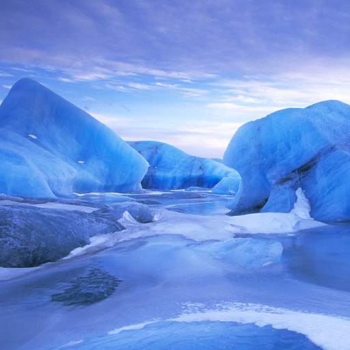 Sea Ice Live Wallpaper 1.0