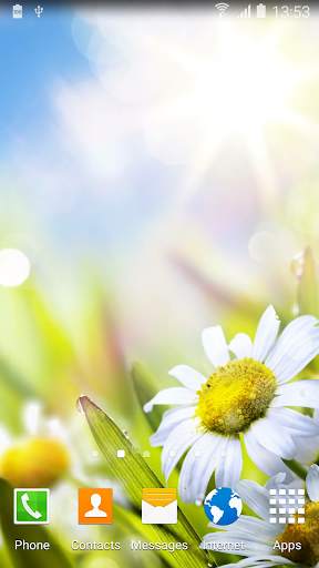 Daisies Flowers Live Wallpaper screenshot 7