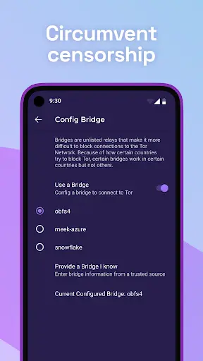 Tor Browser screenshot 2
