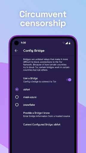 Tor Browser screenshot 2