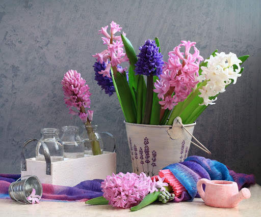 Hyacinth Wallpaper HD screenshot 1