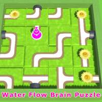Water Flow Brain Puzzle