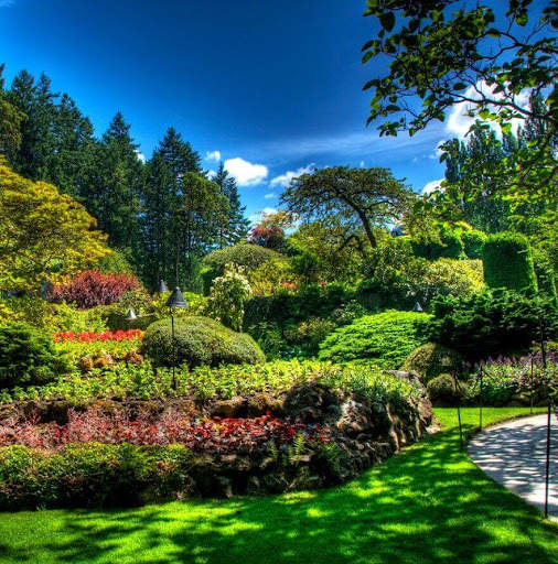 Beautiful Garden Wallpaper screenshot 3