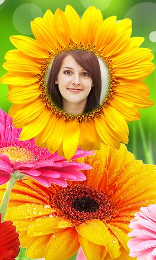 Sunflower photo frames screenshot 2