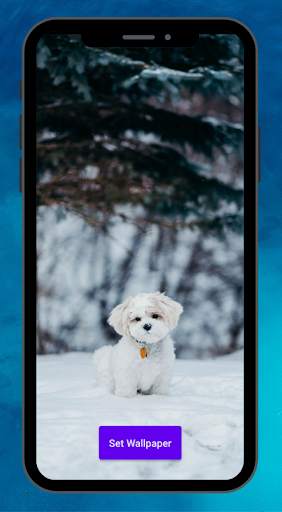 HD Wallpapers - Best HD Backgrounds screenshot 5