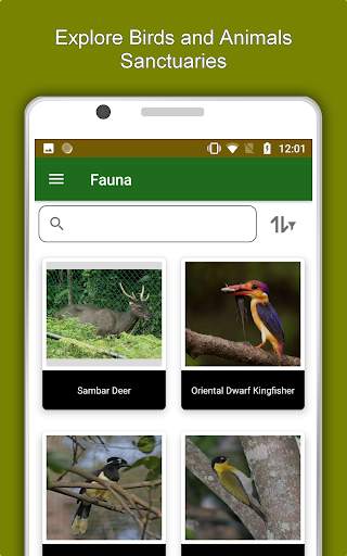 Yangon Travel & Explore, Offline City Guide screenshot 13