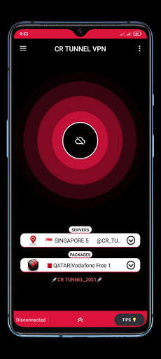CR TUNNEL VPN screenshot 2