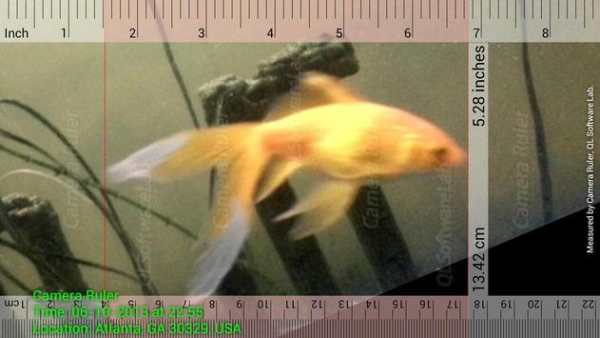 Camera Ruler screenshot 8