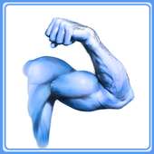 Build Solid Body icon