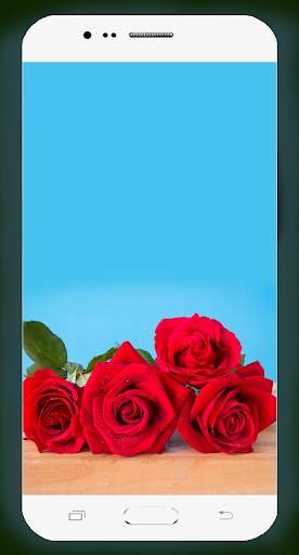 Rose Flower Wallpaper screenshot 5