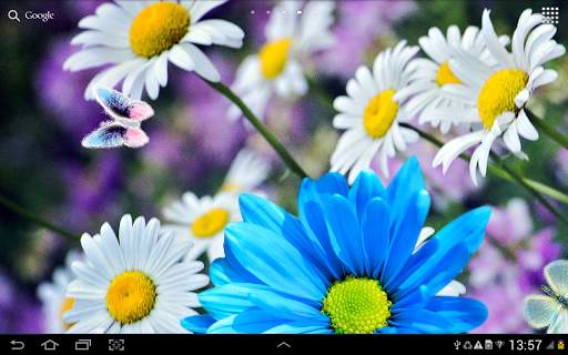 Daisies Flowers Live Wallpaper screenshot 10