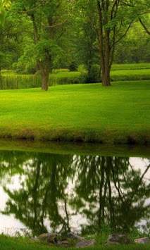 Green Nature wallpaper screenshot 3