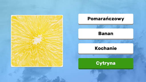 Zoom Quiz: Gra Zdjęciowa screenshot 8