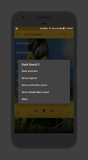 Duck Sounds screenshot 3