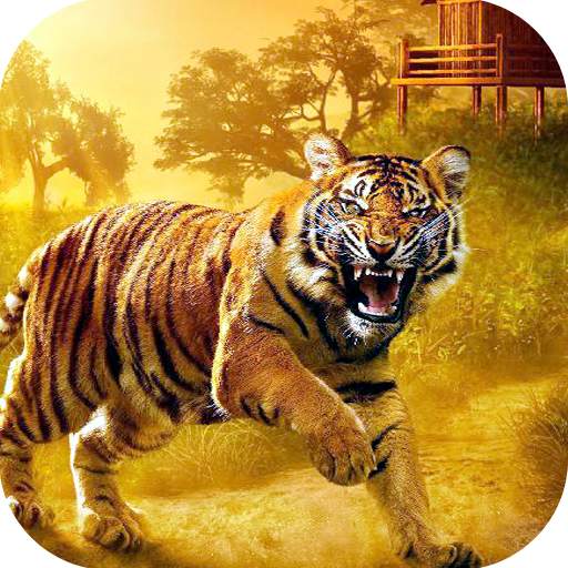 Tiger Hd Wallpapers 1.0.7