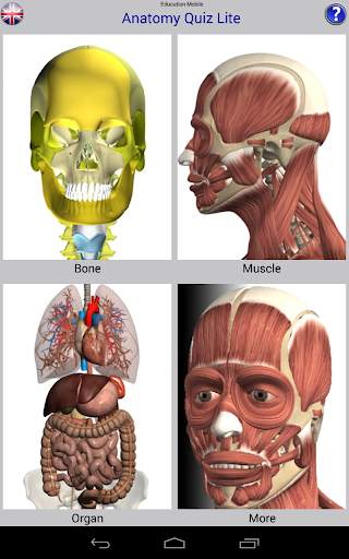 Anatomy Quiz скриншот 9