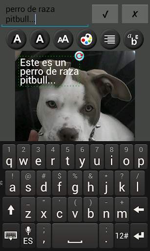 Añadir texto a foto screenshot 4