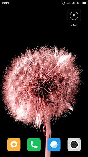 Dandelion Wallpaper HD screenshot 15