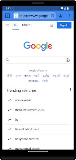 Incognito Browser screenshot 1