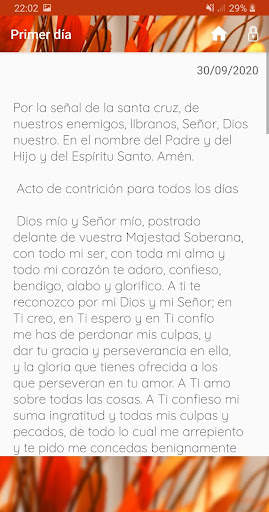 Virgen del Carmen screenshot 6