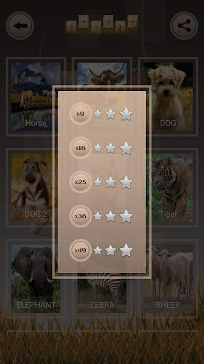 Swap Puzzle screenshot 6