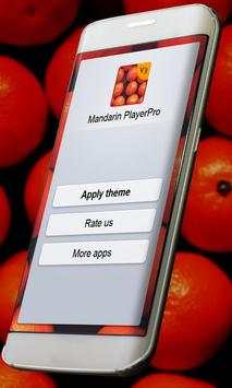 Mandarin Music Player Skin screenshot 5