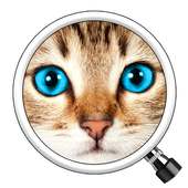 Guess the Pic! 2 logo