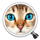 Guess the Pic! 2 1.3