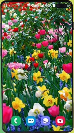 Flowers Wallpaper Best HD screenshot 16
