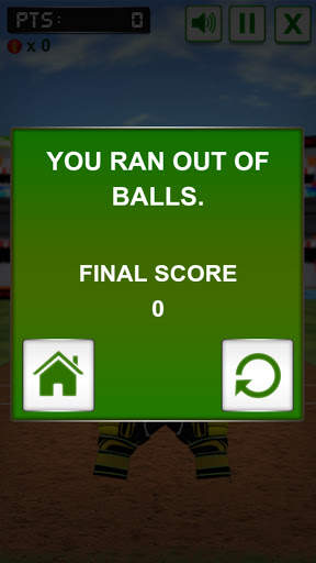 Cricket Fielder Challenge screenshot 5