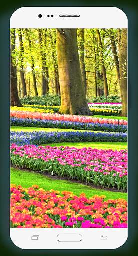 Garden Wallpaper HD screenshot 10