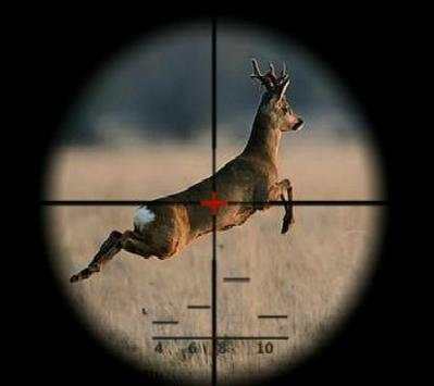 Deer Wild Hunter screenshot 5