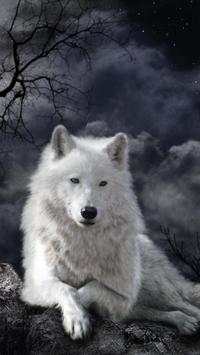 HD Wolf Wallpapers screenshot 10